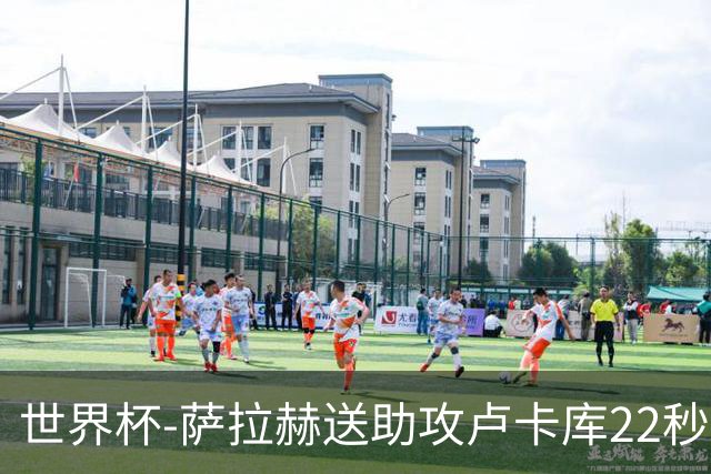 世界杯-萨拉赫送助攻卢卡库22秒造乌龙 比利时1-1埃及